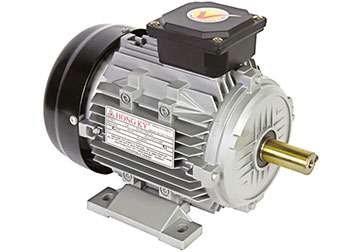 2HP/220V Motor vỏ nhôm chân đế Hồng Ký HKM214MDY