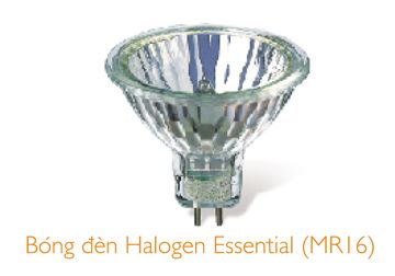 35W Bóng Halogen Essential Philips GU5.3 36D-Có kính chụp